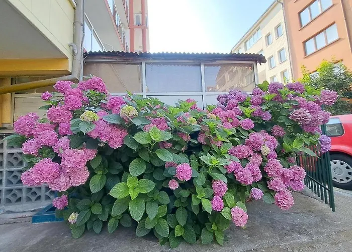 بيت ضيافة Family California 3*