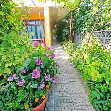 Family California Pensión 3*